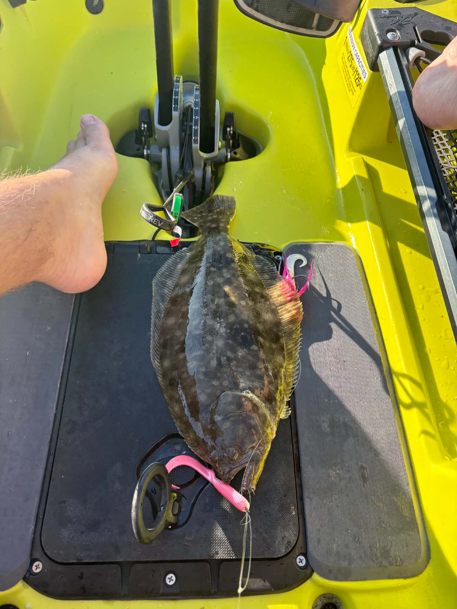 Fishing report  for 6/3/2026