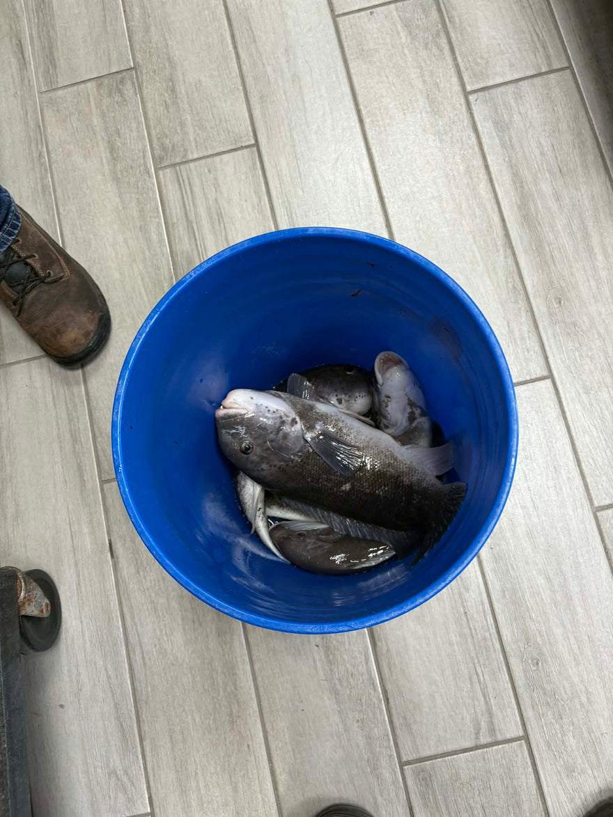 Fishing report for 04/20/2026