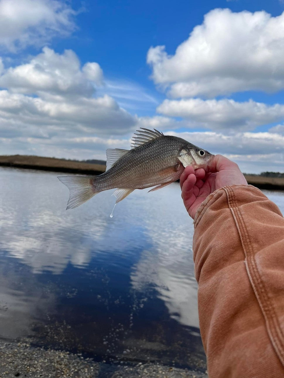Fishing report 02/04/23