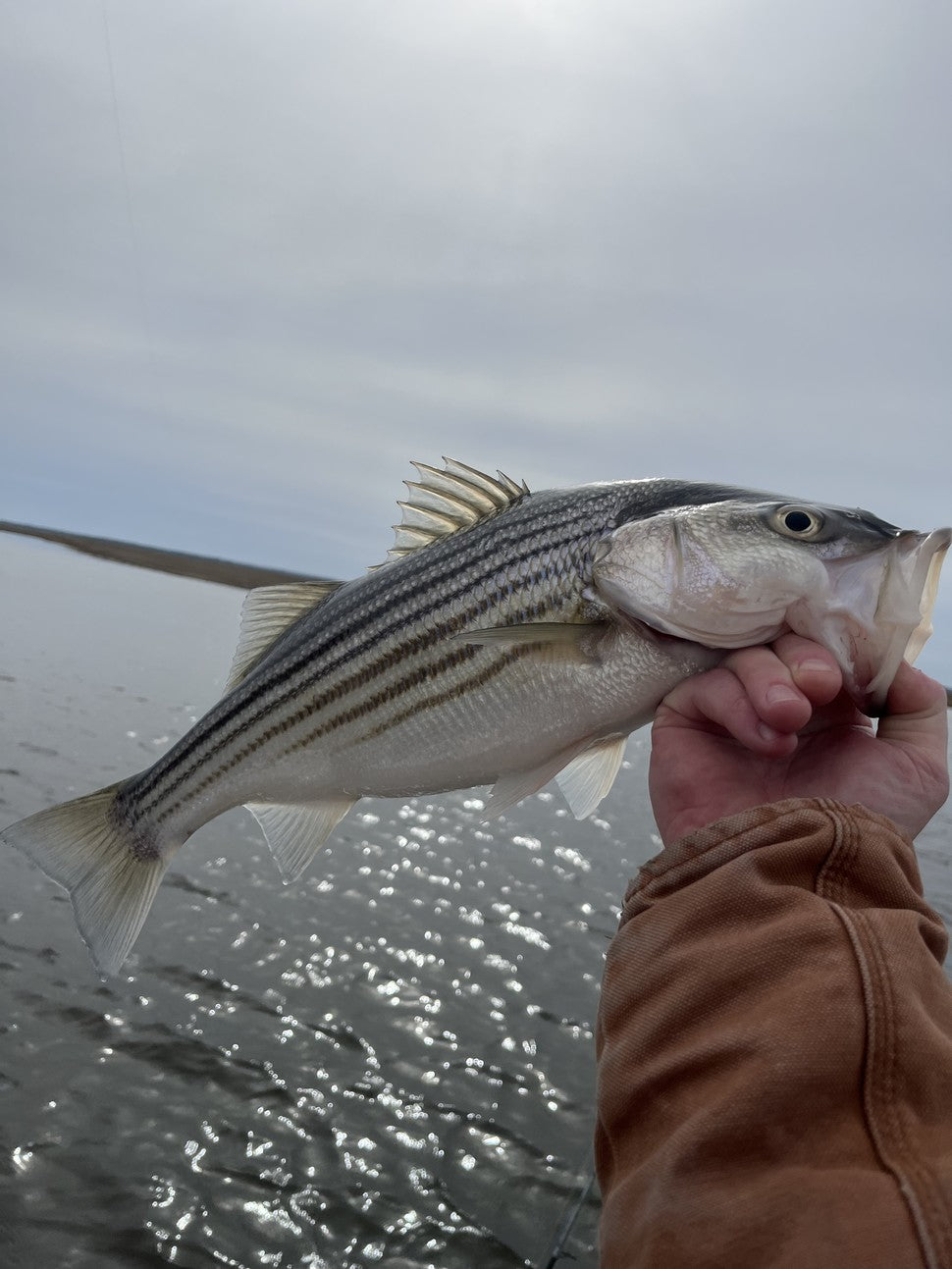Fishing report for 02/27/23