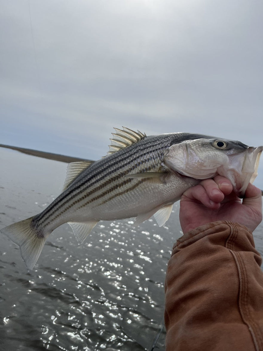 Fishing report for 02/27/23