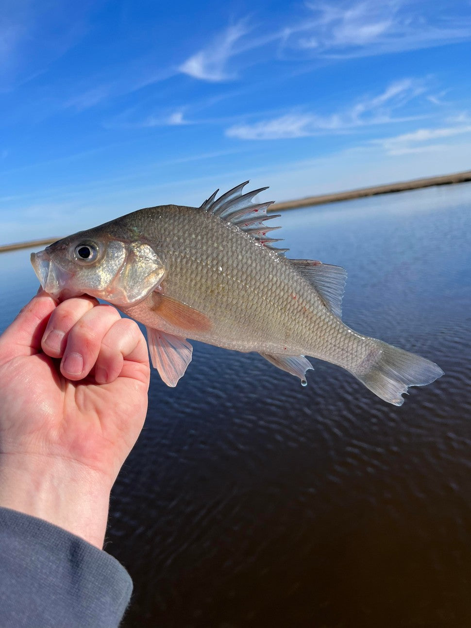 Fishing report for 03/10/23