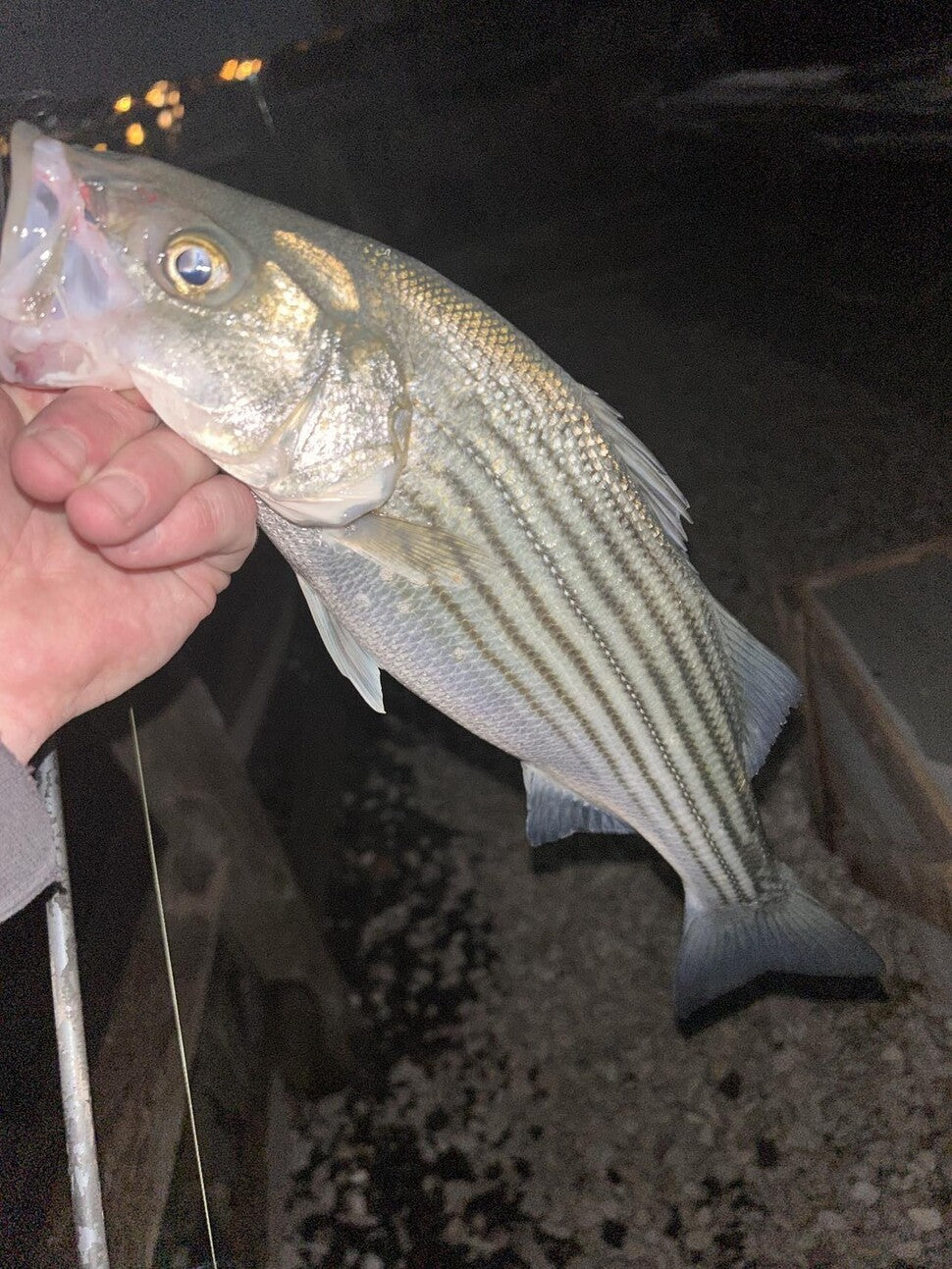Fishing report for 03/15/24