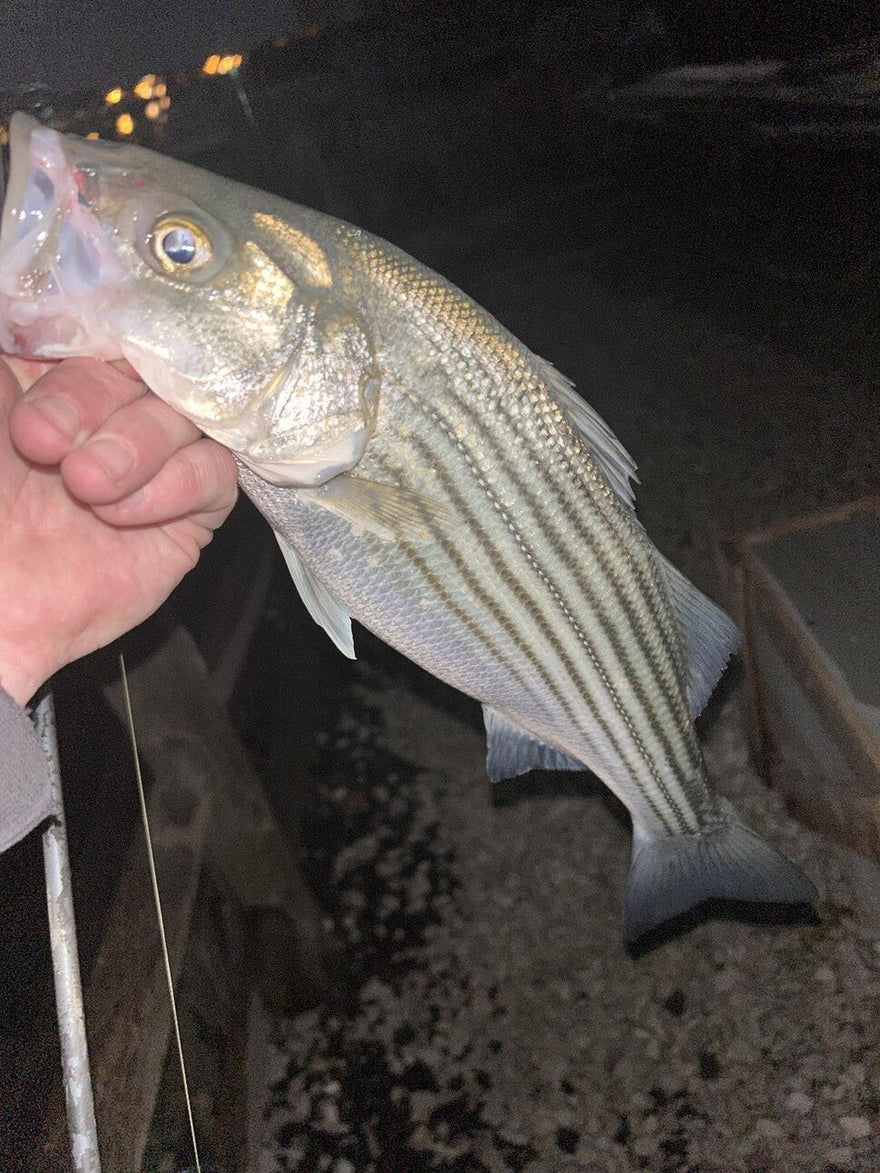 Fishing report for 03/15/24