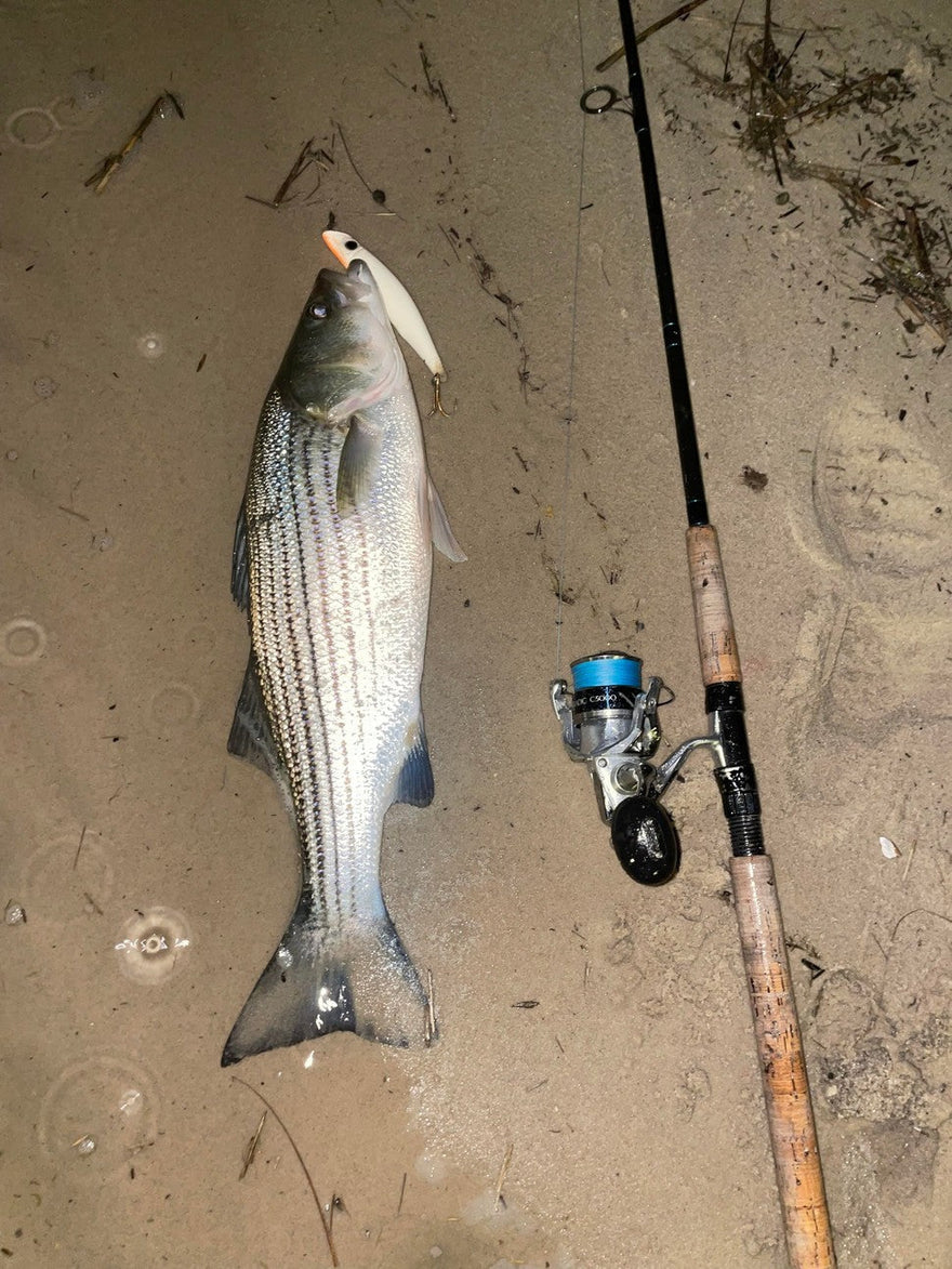 Fishing report for 03/27/23