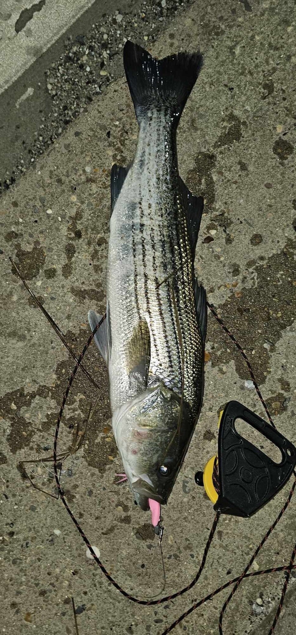 Fishing Report for 04/13/24