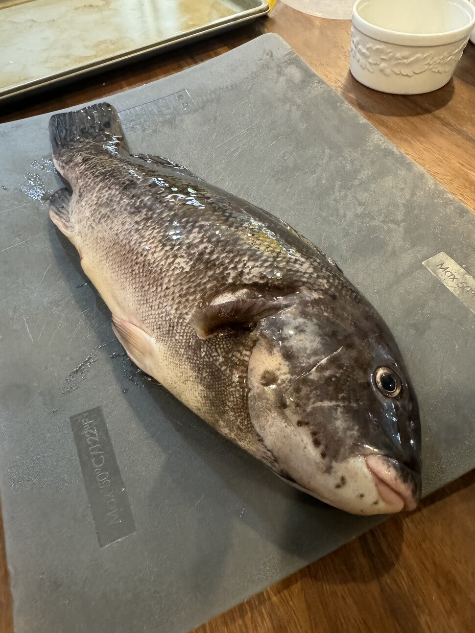 Fishing report for 09/19/2024