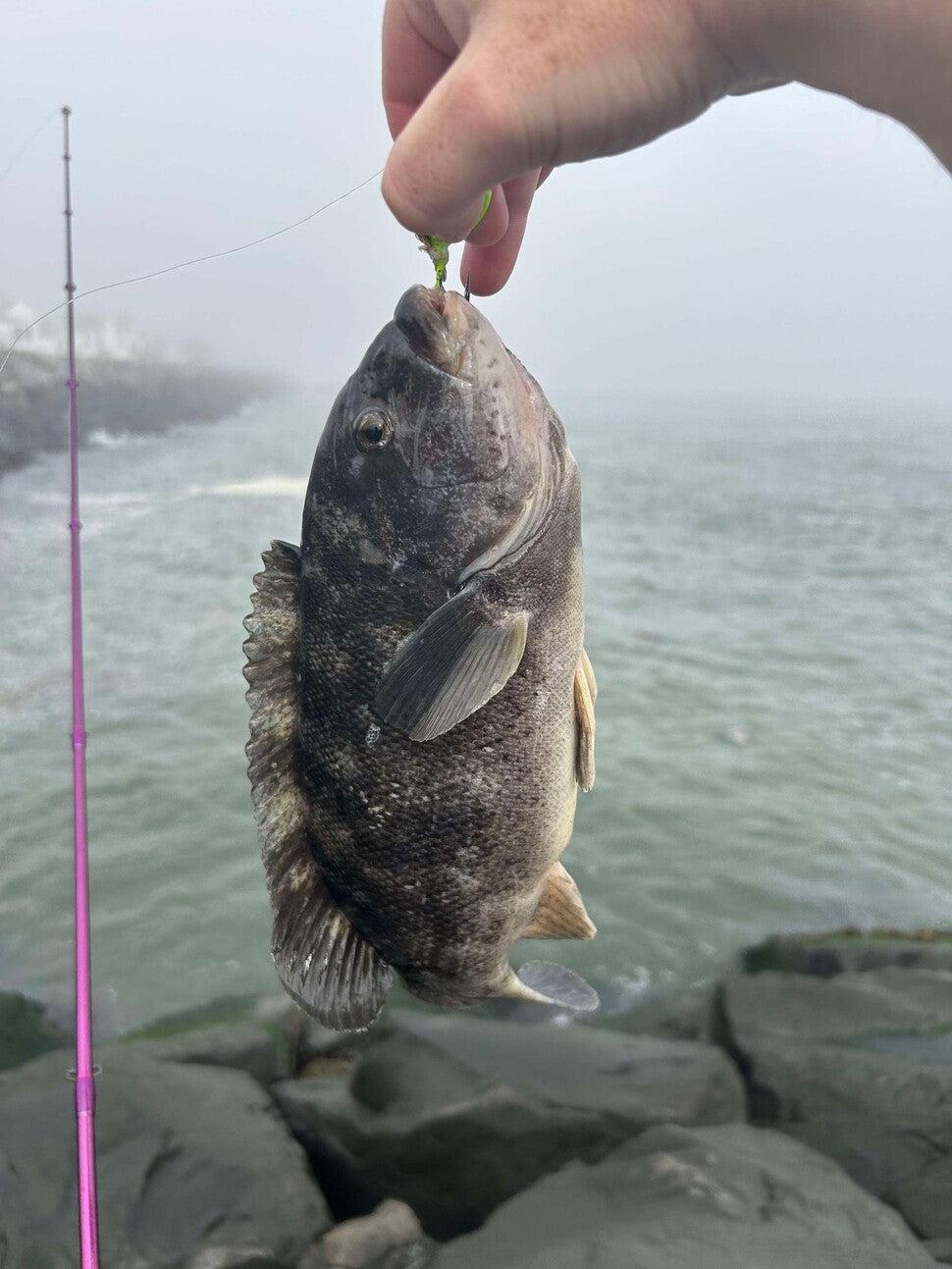 Fishing report for 10/14/24