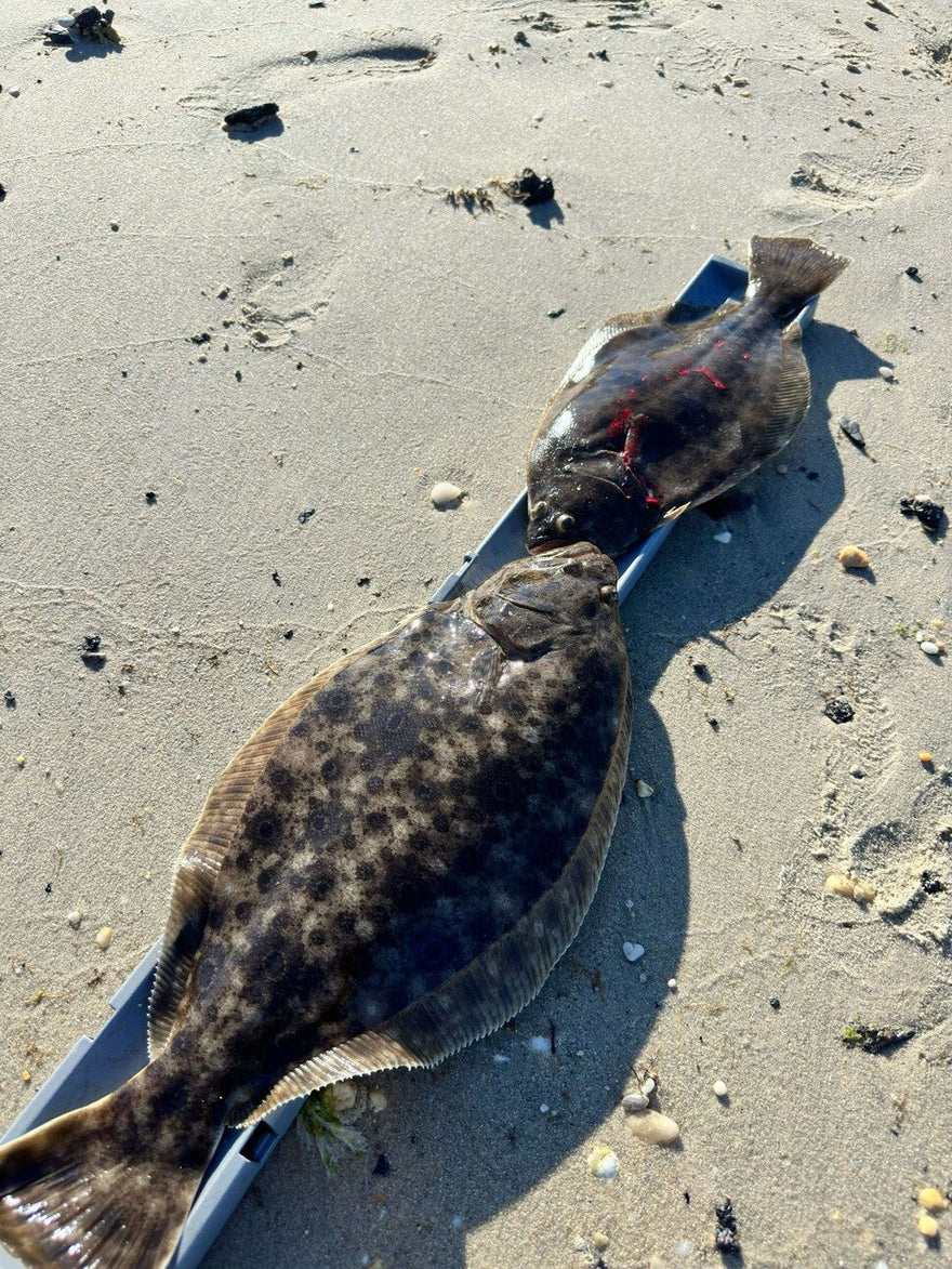 Fishing Report for 9/11/24