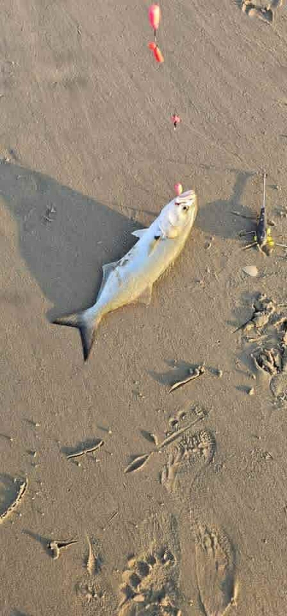 Fishing report for 09/26/25