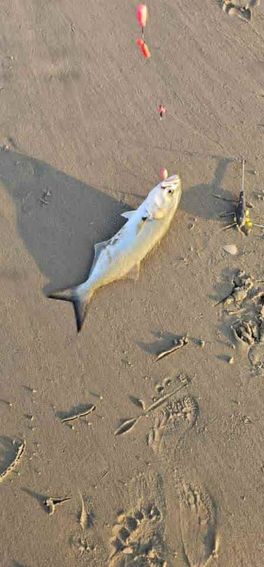 Fishing report for 09/26/25