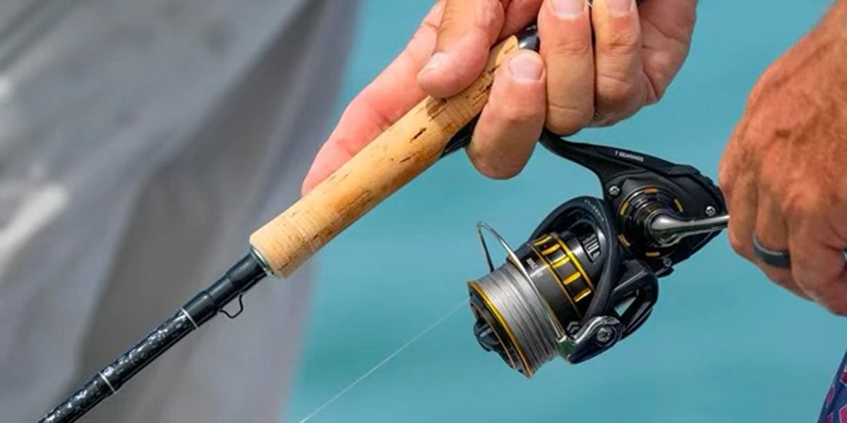 Spinning Reels