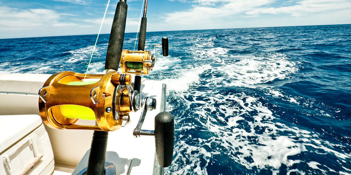 Rods & Reels