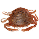 Berkley Gulp!® Saltwater Peeler Crab 2" - 5pk Natural Peeler-3