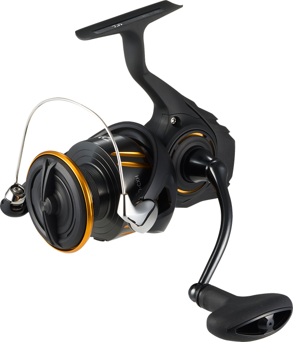 Daiwa BG LT Spinning Reel 2026