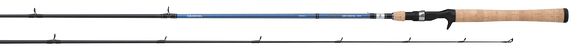 Daiwa AIRD Coastal Inshore 1pc Spinning Rod