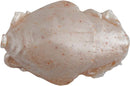Berkley Gulp!® Saltwater Sand Crab Flea 1" - 12pk-1