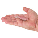Berkley Gulp!® Saltwater Shrimp-7