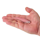 Berkley Gulp!® Saltwater Shrimp-6