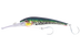 Silver Green Mackerel