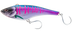 Pink Mackerel