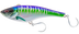 Spanish Mackerel