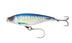 Spanish Mackerel