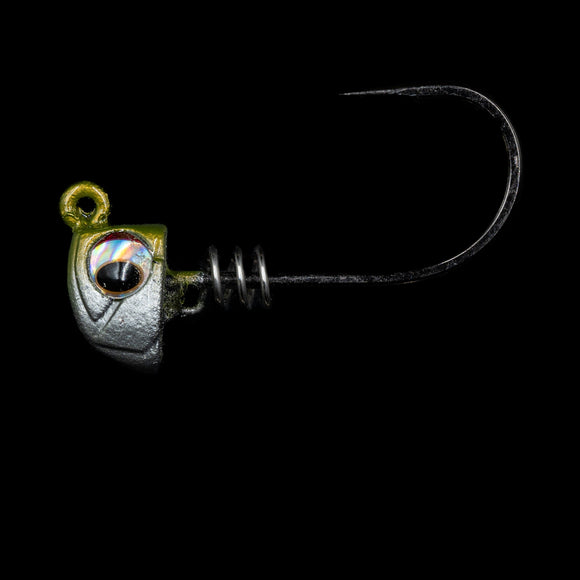 NLBN 3" Jig Heads Green Back