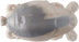 Natural Flea
