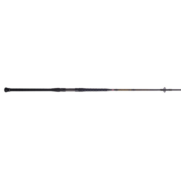 Penn Battalion II Surf Spinning Rod