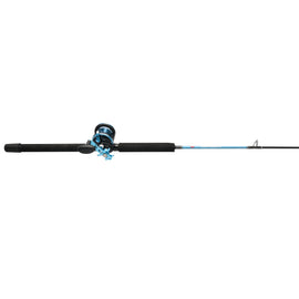 Penn Warfare II Star Drag Conventional Rod/Reel Combo