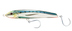 Sardine