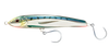 Sardine
