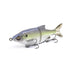Sexy Shad
