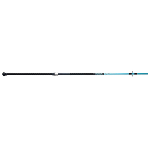 Ugly Stik Carbon Surf 10ft Med/Heavy Fast Action 2pc Rod - USCBSF1530S102