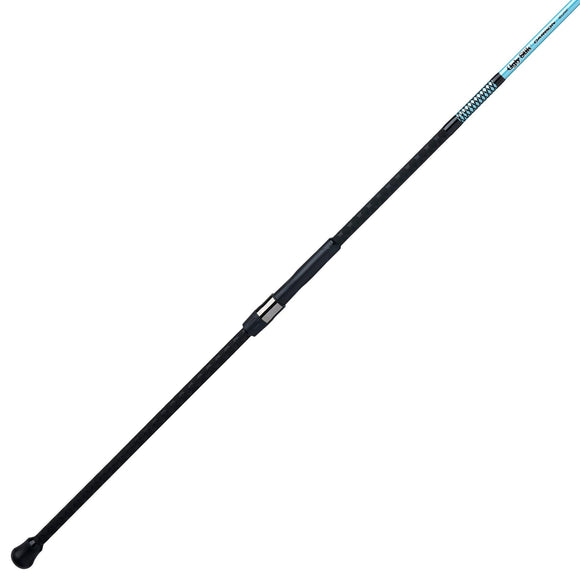 Ugly Stik Carbon Surf 12ft Med/Heavy Fast Action 2pc Rod - USCBSF2040S122
