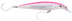 Anchovy (ANC)