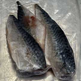 Mackerel