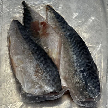 Mackerel