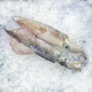Squid-2
