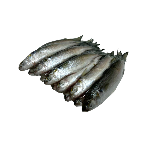 Finger Mullet - Dozen
