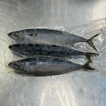 Mackerel - 0