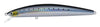 01-Laser Sardine