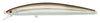 32- Sand Eel