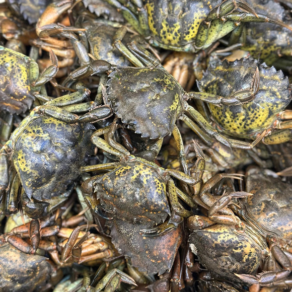 Crabs